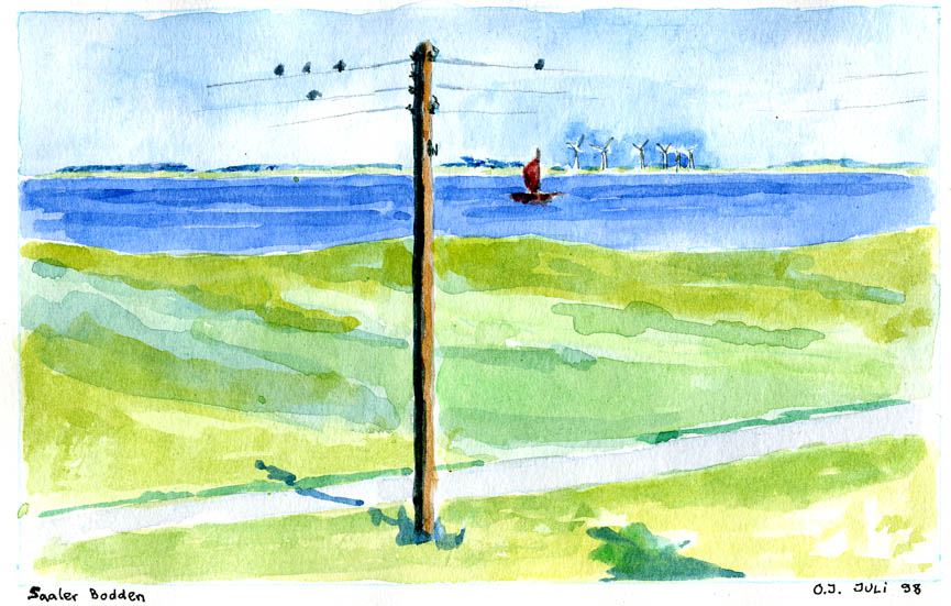 Saaler Bodden