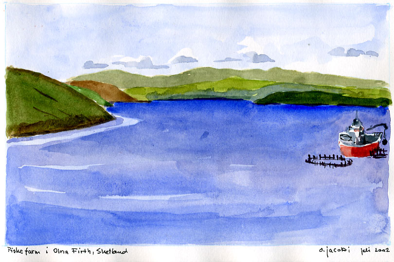 Olna Firth, Shetland